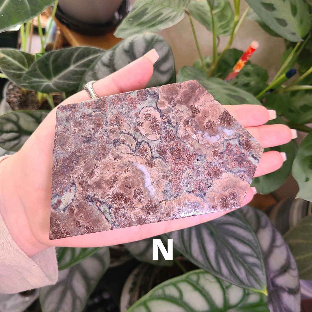 Oriental Flower Jasper - Rhyolite - Slabs