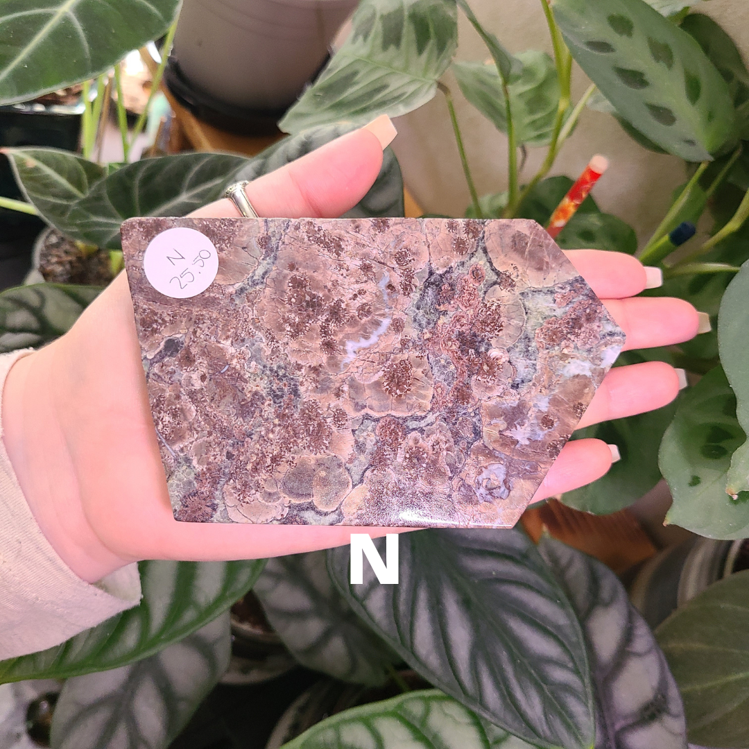 Oriental Flower Jasper - Rhyolite - Slabs