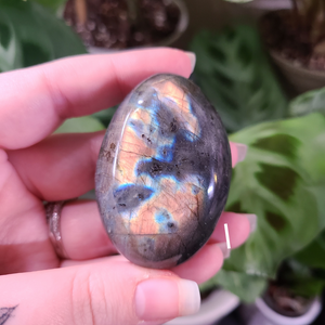 Labradorite Palm Stones with High Flash - Medium
