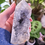 Load image into Gallery viewer, Celestite Cluster Point - C
