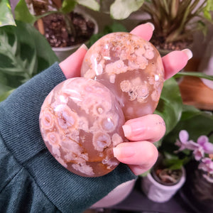 Flower Agate Palm Stones