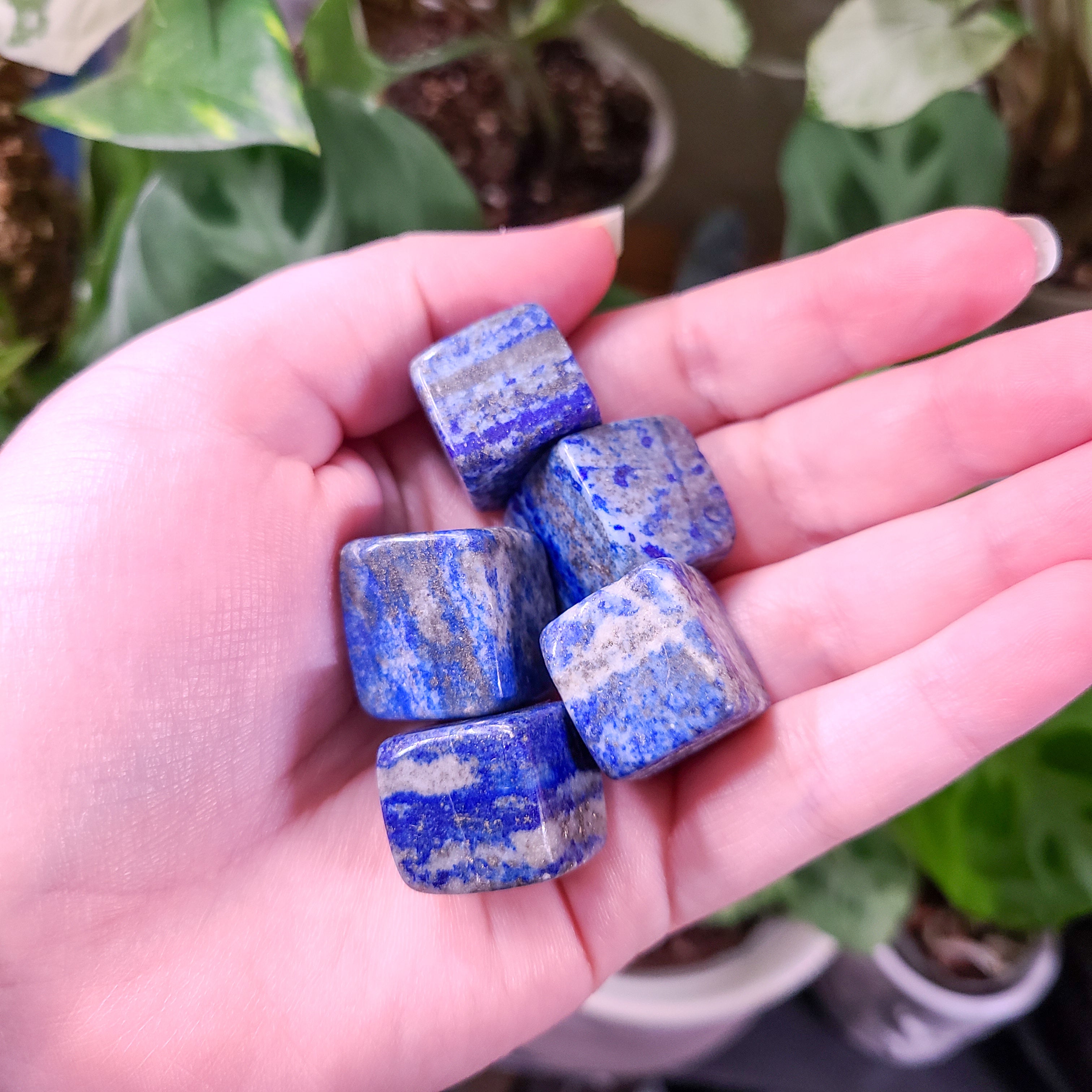 Lapis Lazuli (old stock) Tumbled Cubes - Intuitively Chosen