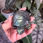 Load image into Gallery viewer, Labradorite Turtle Carvings
