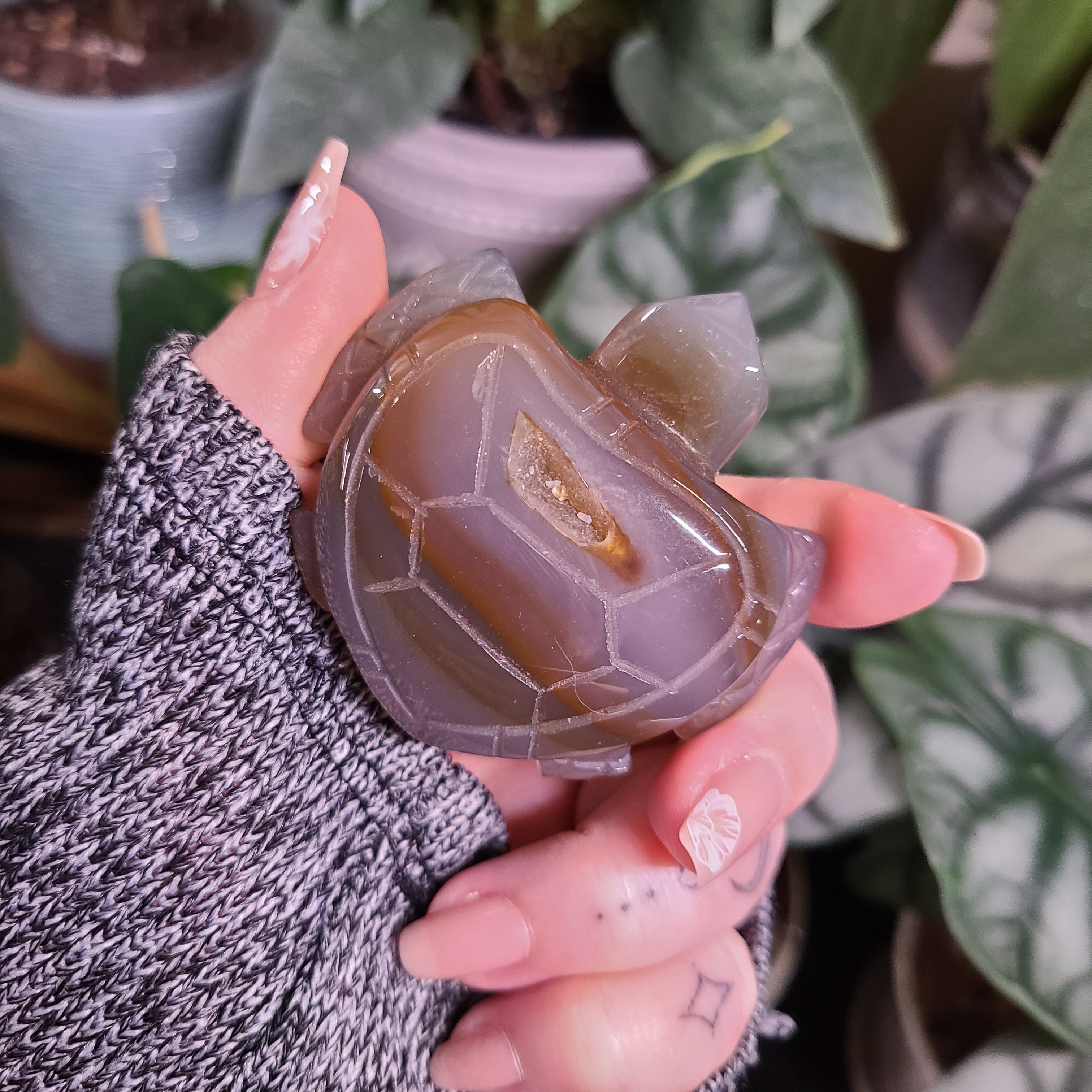 Moss Agate Mini Turtles – Limitless Boutique US