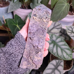 Load image into Gallery viewer, Grape Agate Obelisk - C
