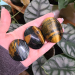 Load image into Gallery viewer, Blue Tigers Eye Palm Stones
