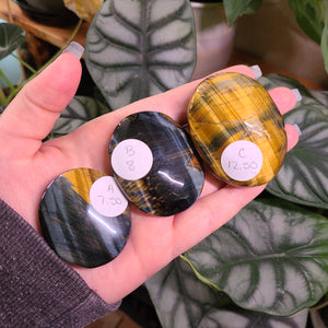 Blue Tigers Eye Palm Stones