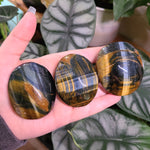 Load image into Gallery viewer, Blue Tigers Eye Palm Stones
