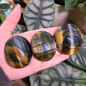 Blue Tigers Eye Palm Stones