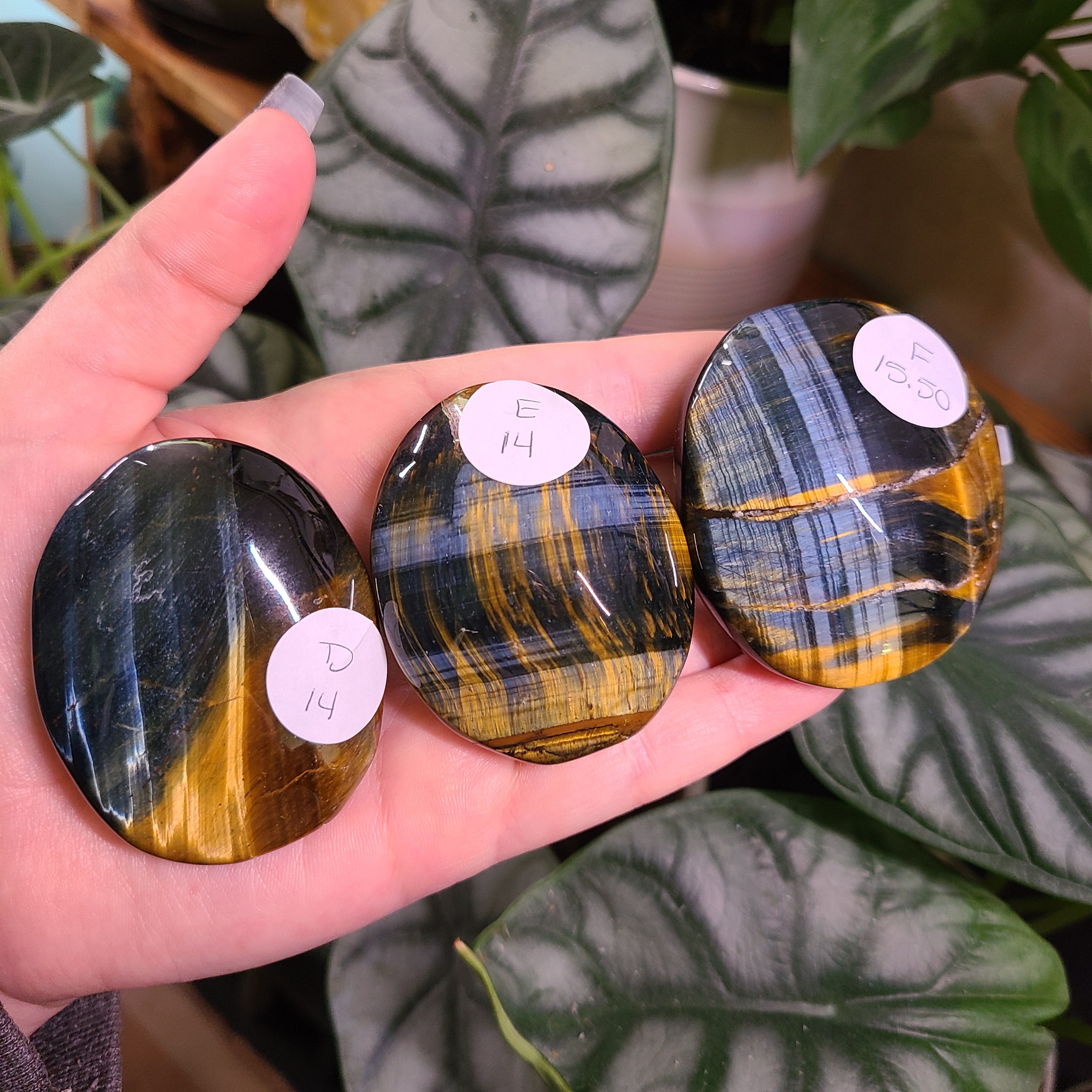 Blue Tigers Eye Palm Stones