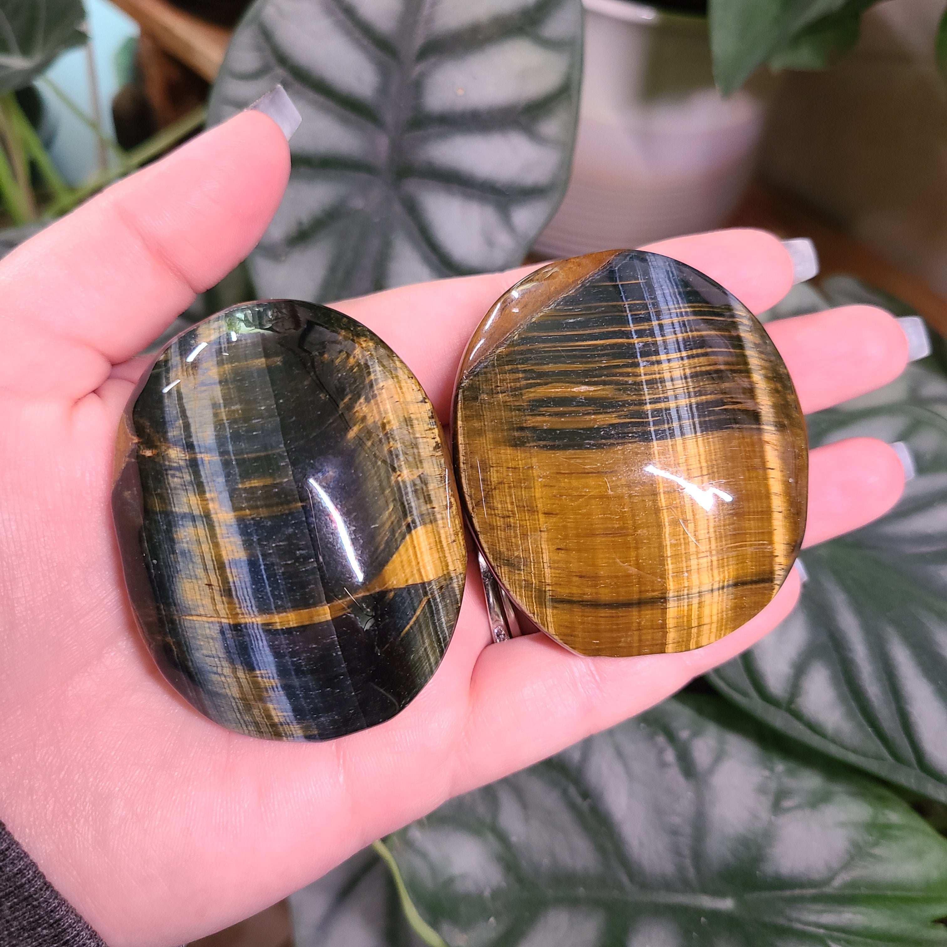 Blue Tigers Eye Palm Stones