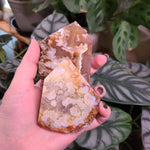 Load image into Gallery viewer, Flower Agate Free Form Points - Large

