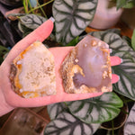 Load image into Gallery viewer, Flower Agate Free Form Points - Large
