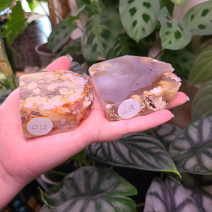 Flower Agate Free Form Points - Large