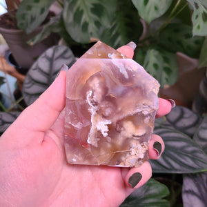 Flower Agate Free Form Points - Large