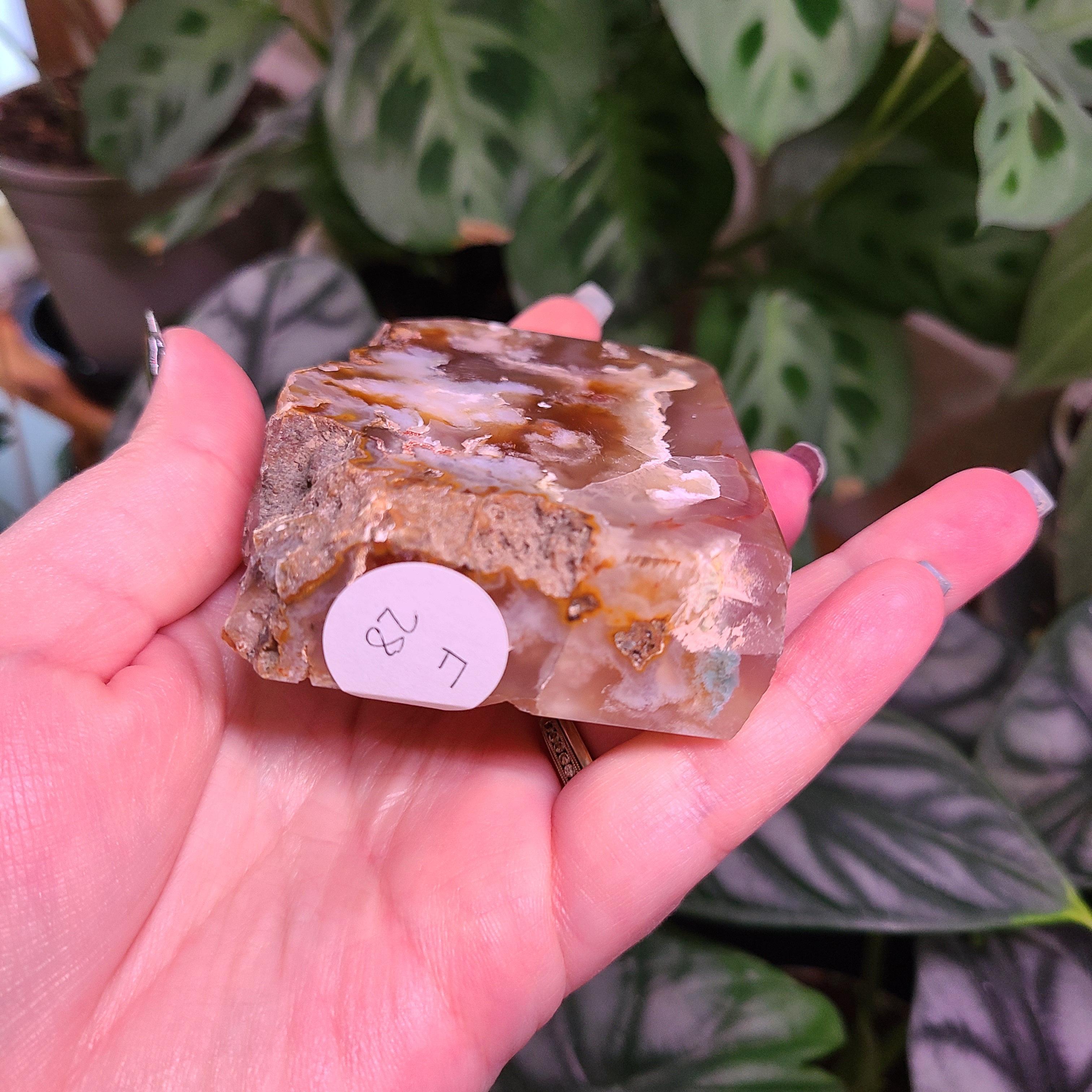 Flower Agate Free Form Points - Large