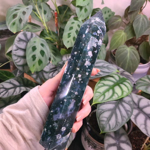 Moss Agate XXXL Tower - N