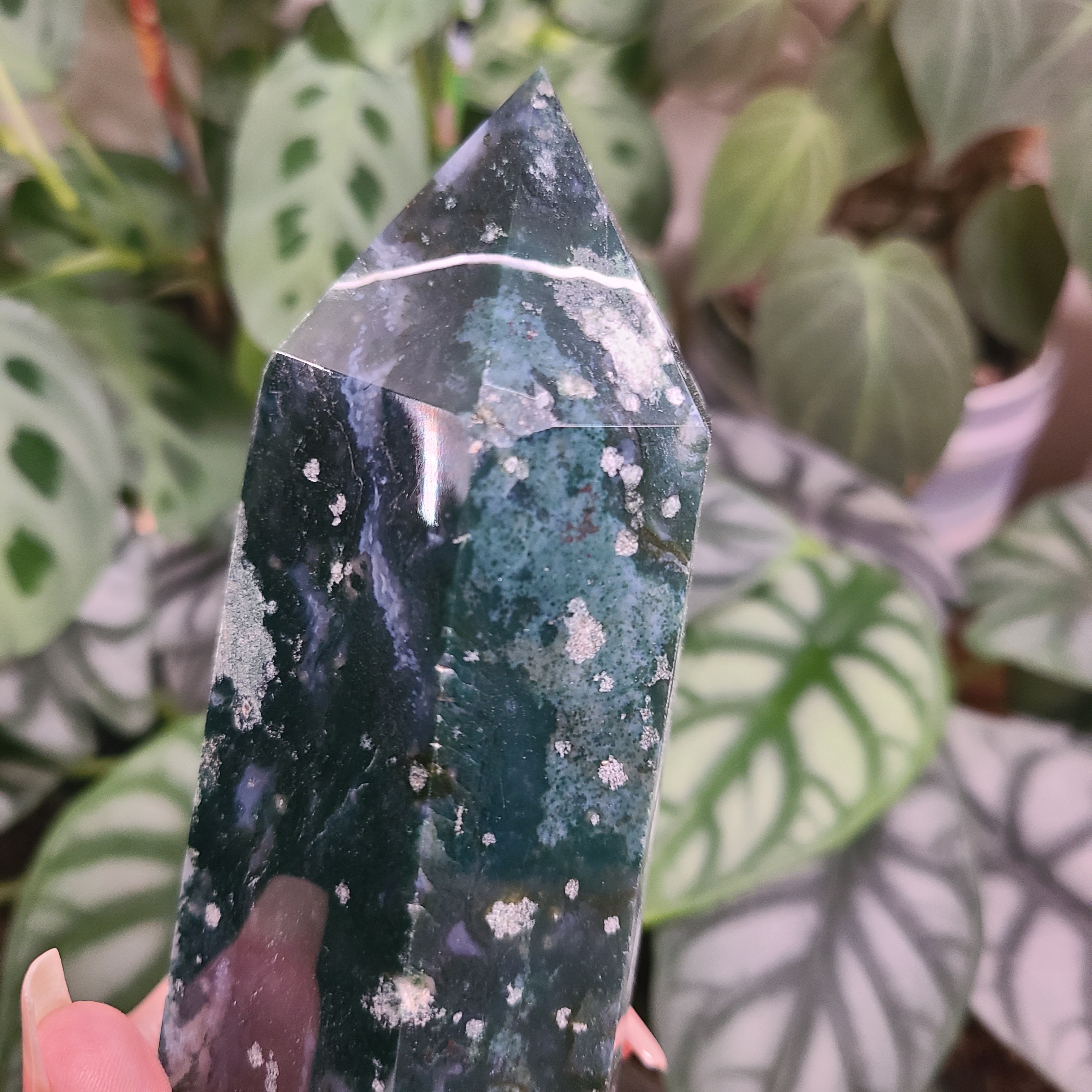 Moss Agate XXXL Tower - N