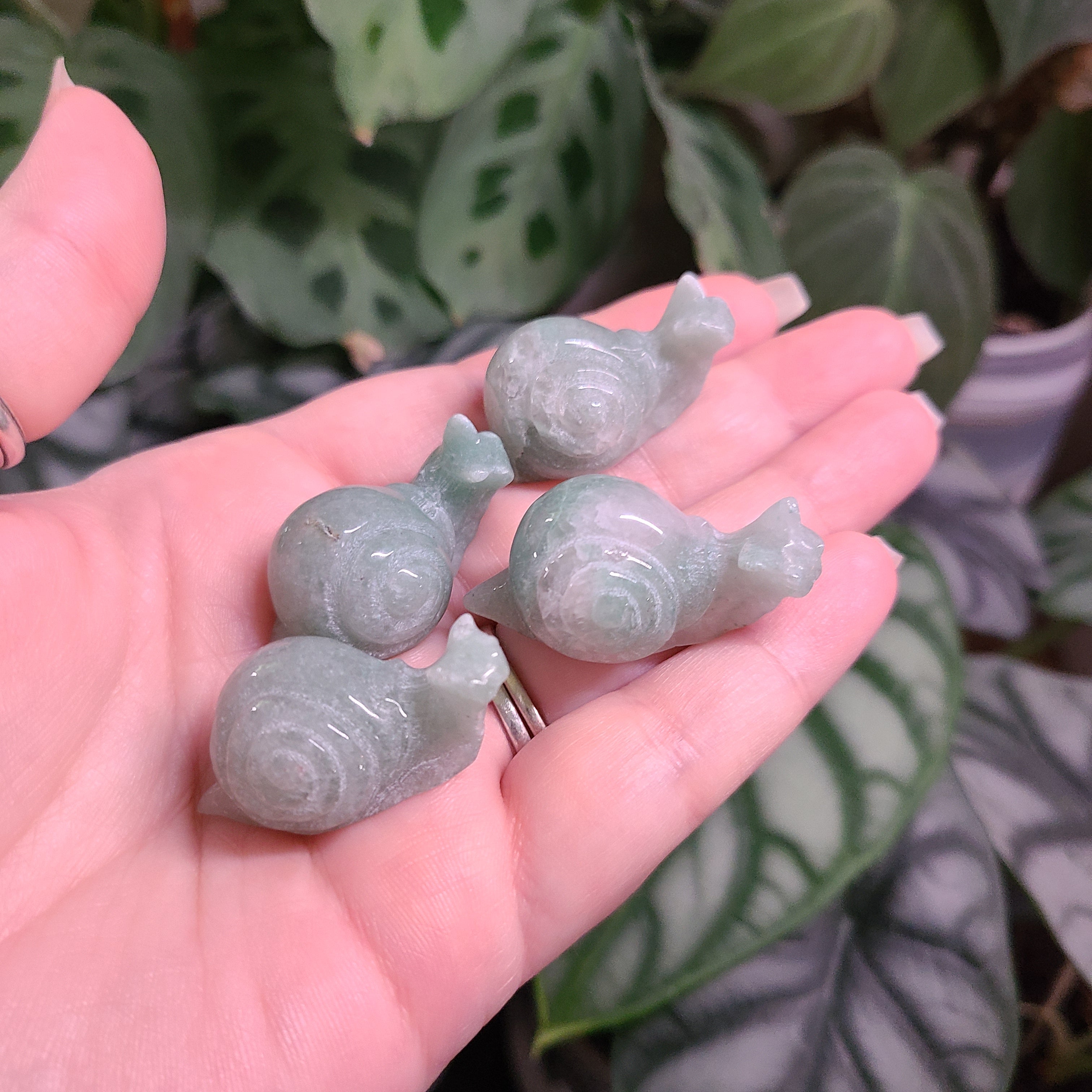 Green Aventurine Mini Snail Carvings - Intuitively Chosen