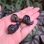 Load image into Gallery viewer, Tigers Eye Mini Snail Carvings - Intuitively Chosen
