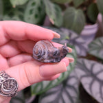Load image into Gallery viewer, Yooperlite Mini Snail Carvings - Intuitively Chosen
