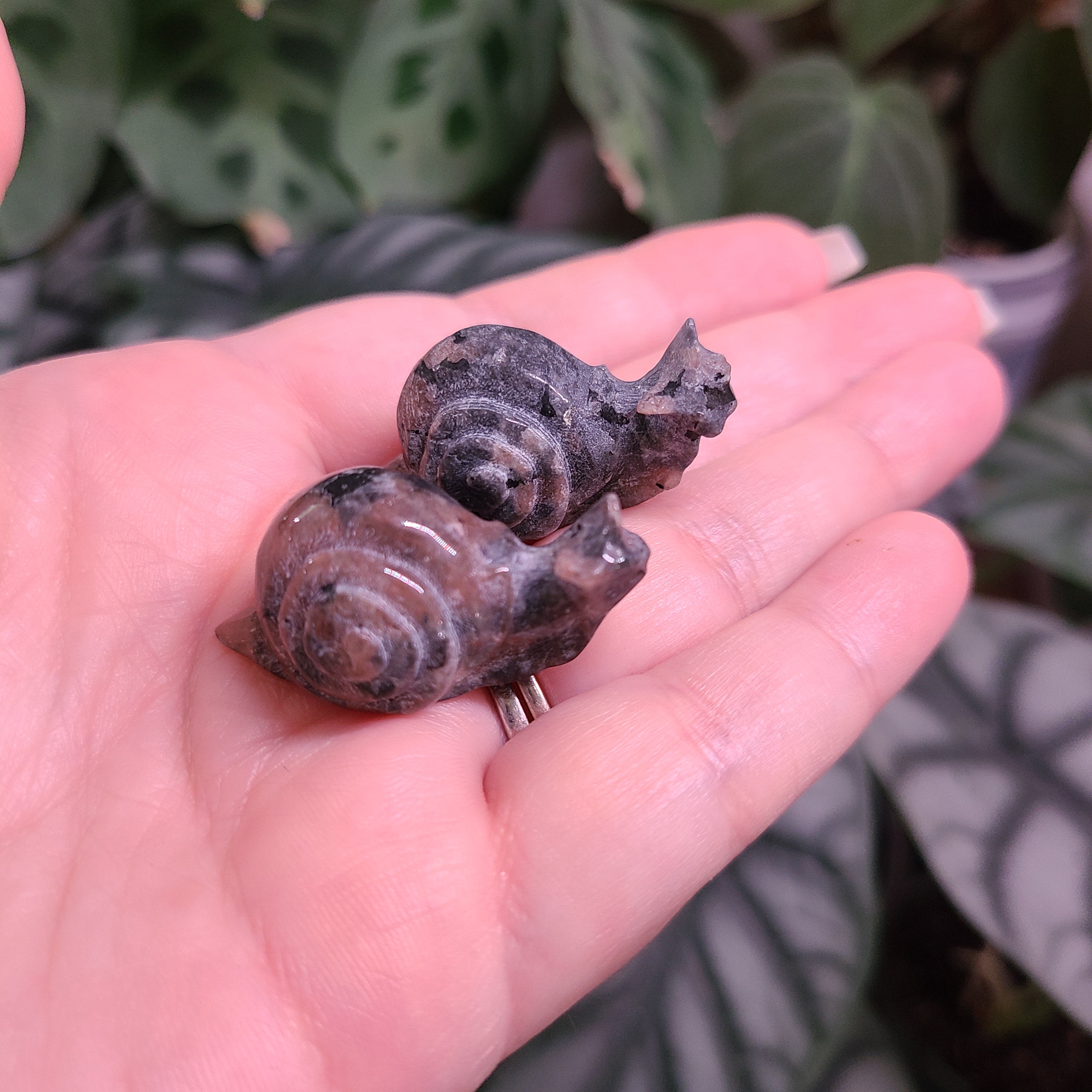 Yooperlite Mini Snail Carvings - Intuitively Chosen