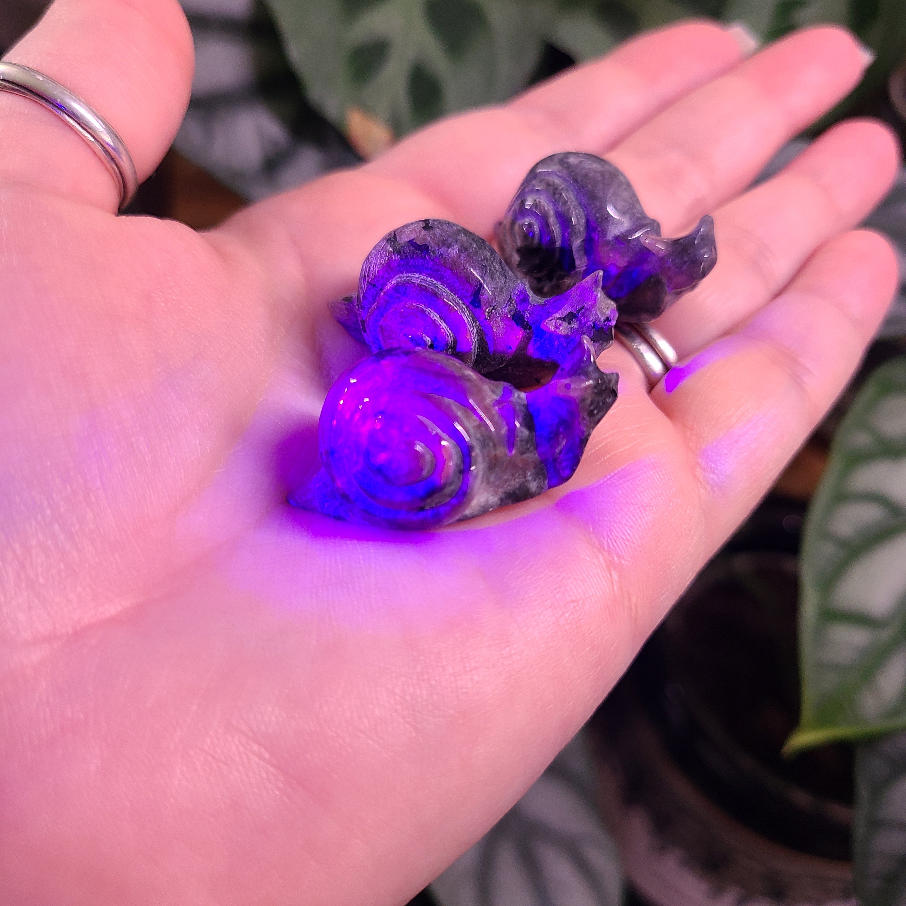 Yooperlite Mini Snail Carvings - Intuitively Chosen