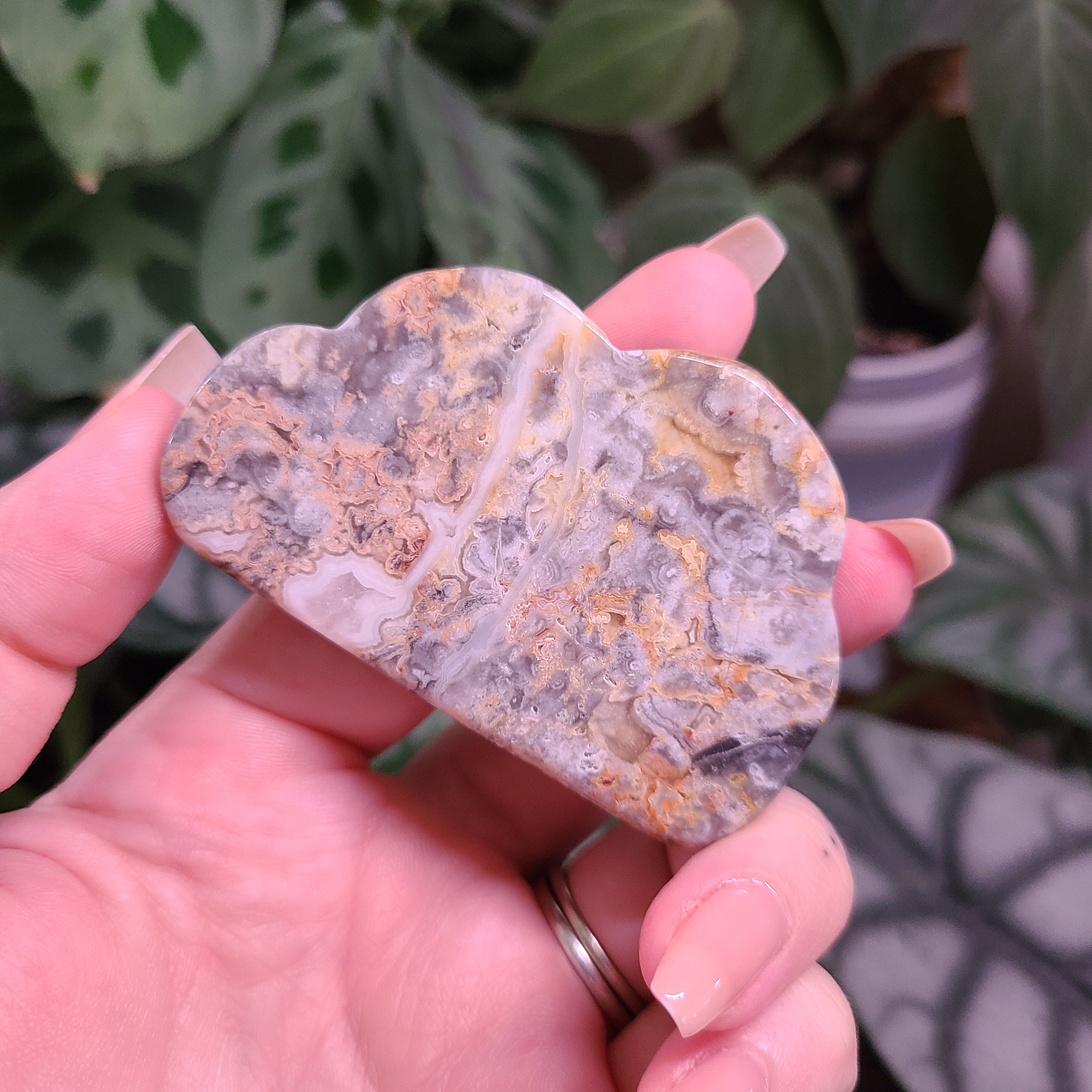 Crazy Lace Agate Cloud Carvings