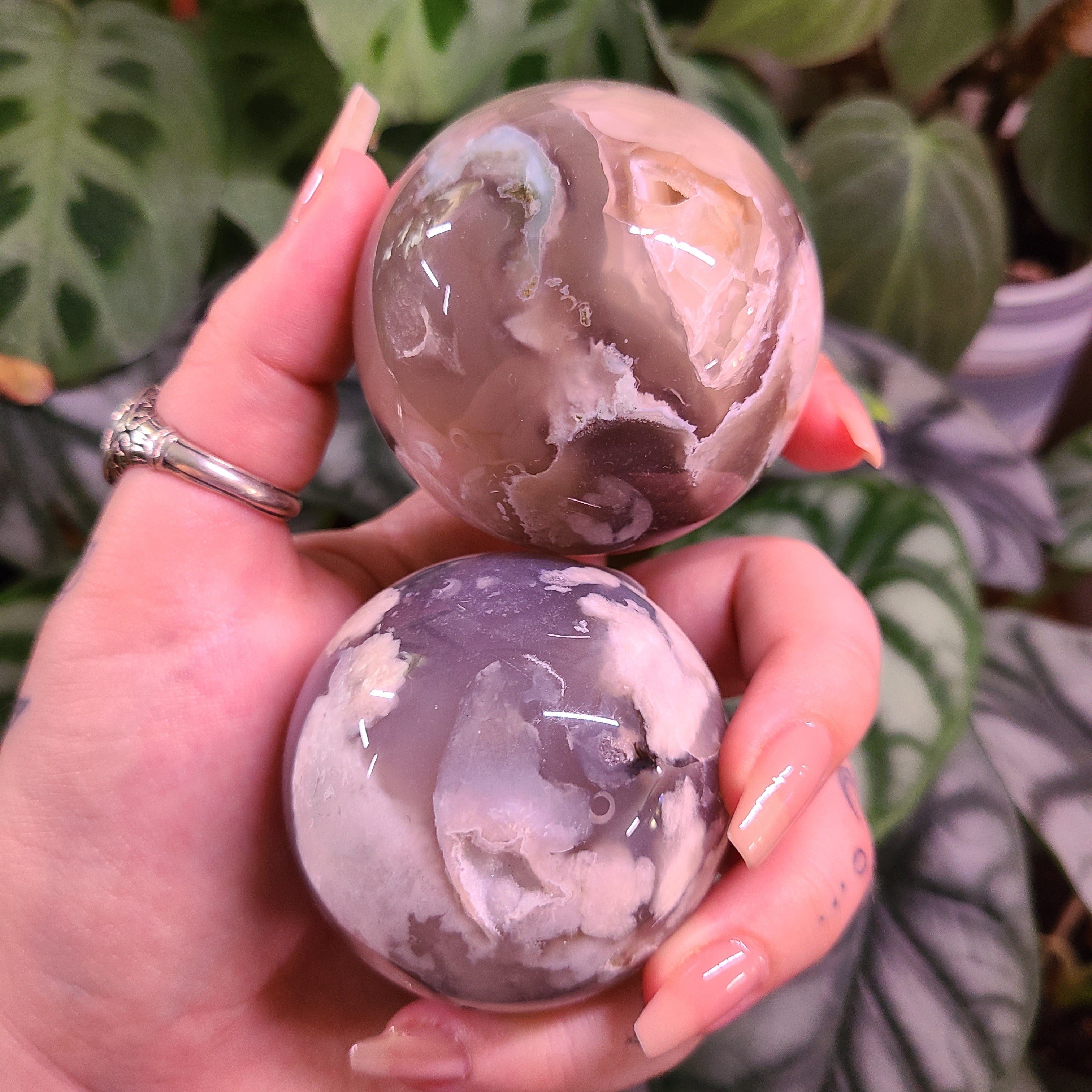 Dark Flower Agate Spheres - Large