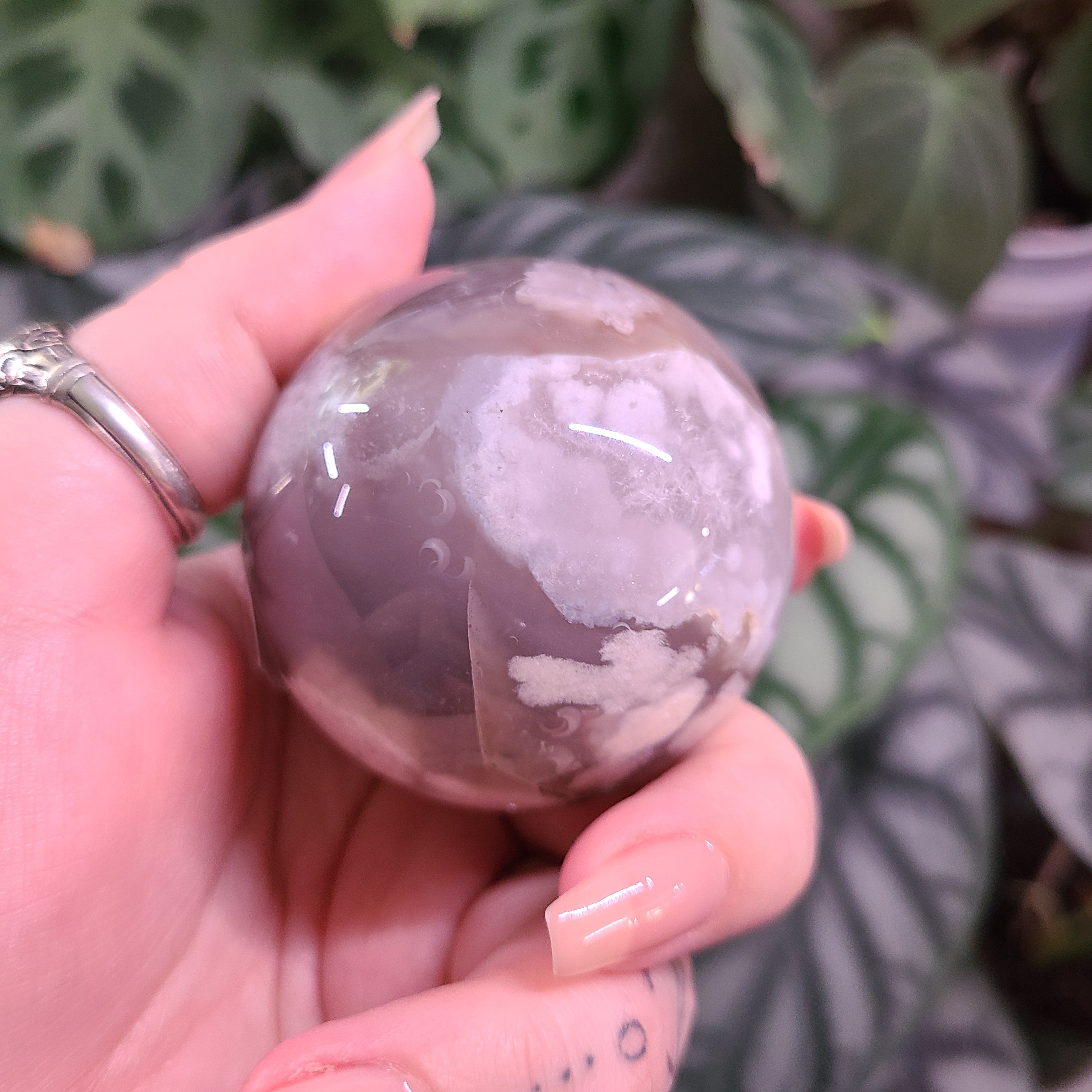 Dark Flower Agate Spheres - Large