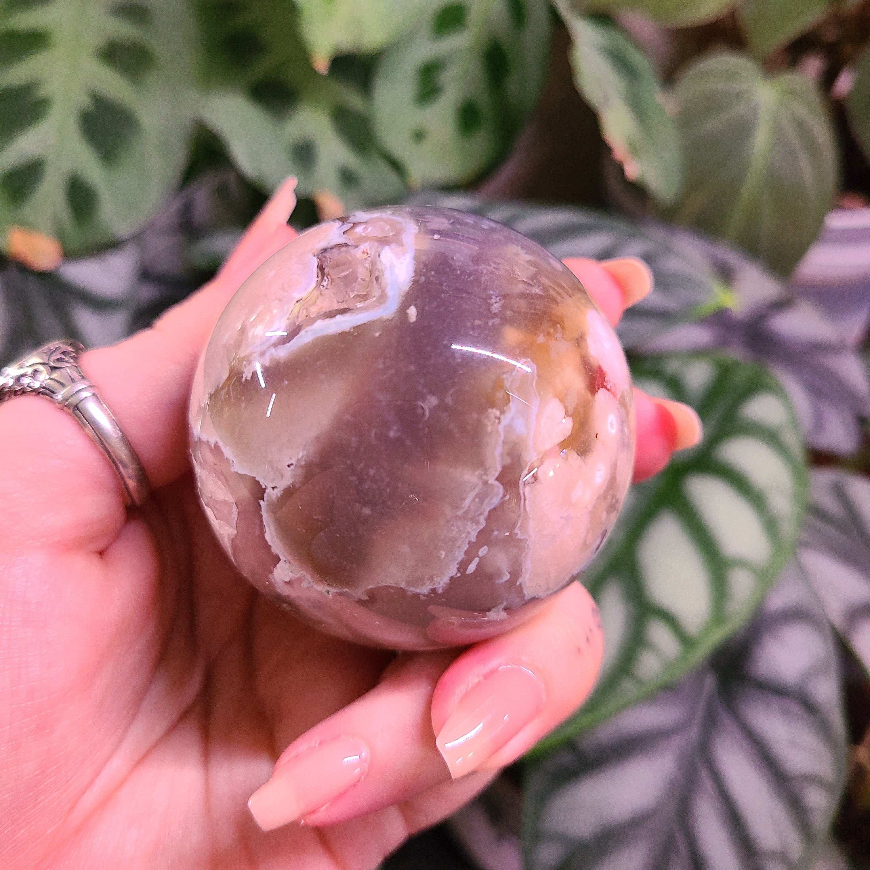 Dark Flower Agate Spheres - Large