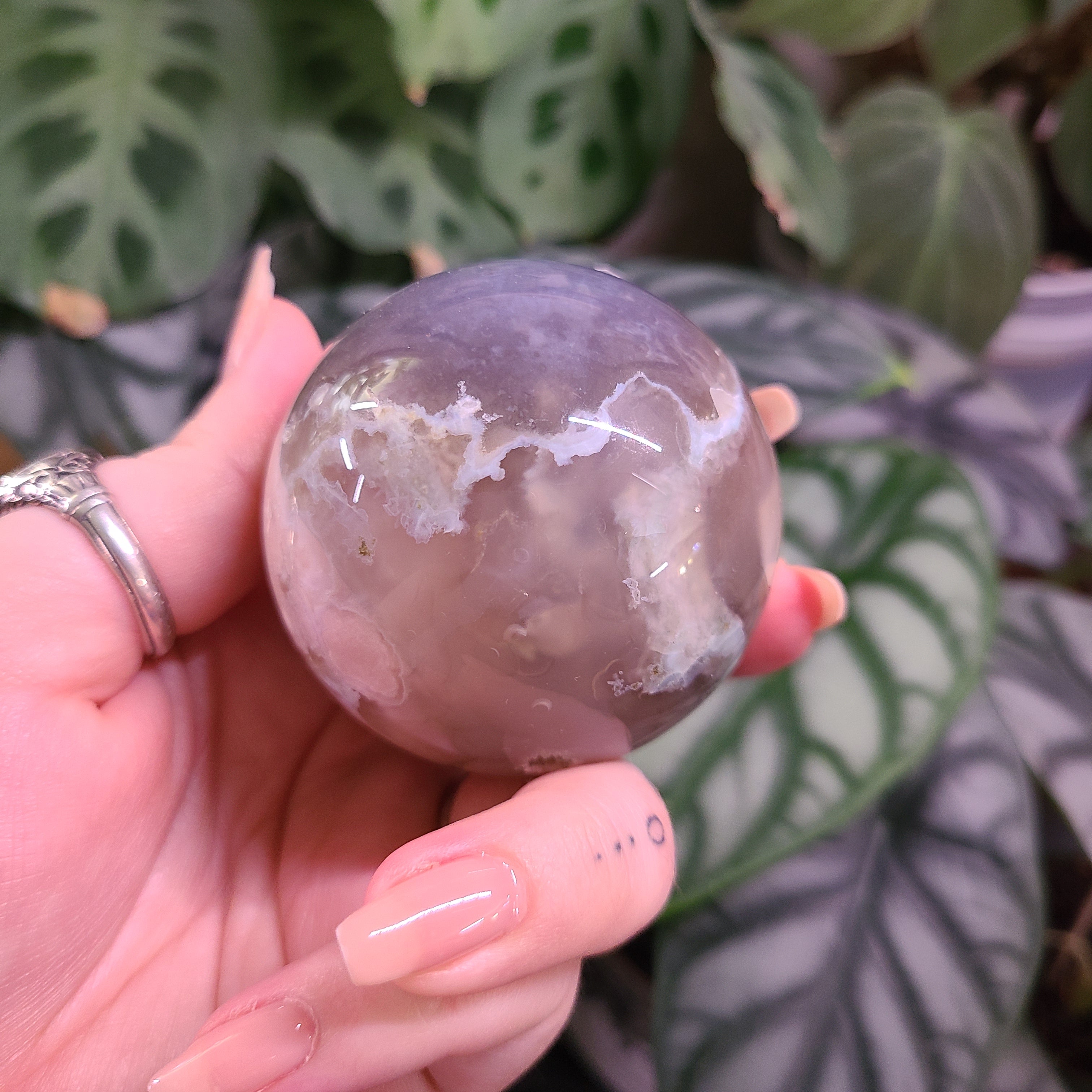 Dark Flower Agate Spheres - Large