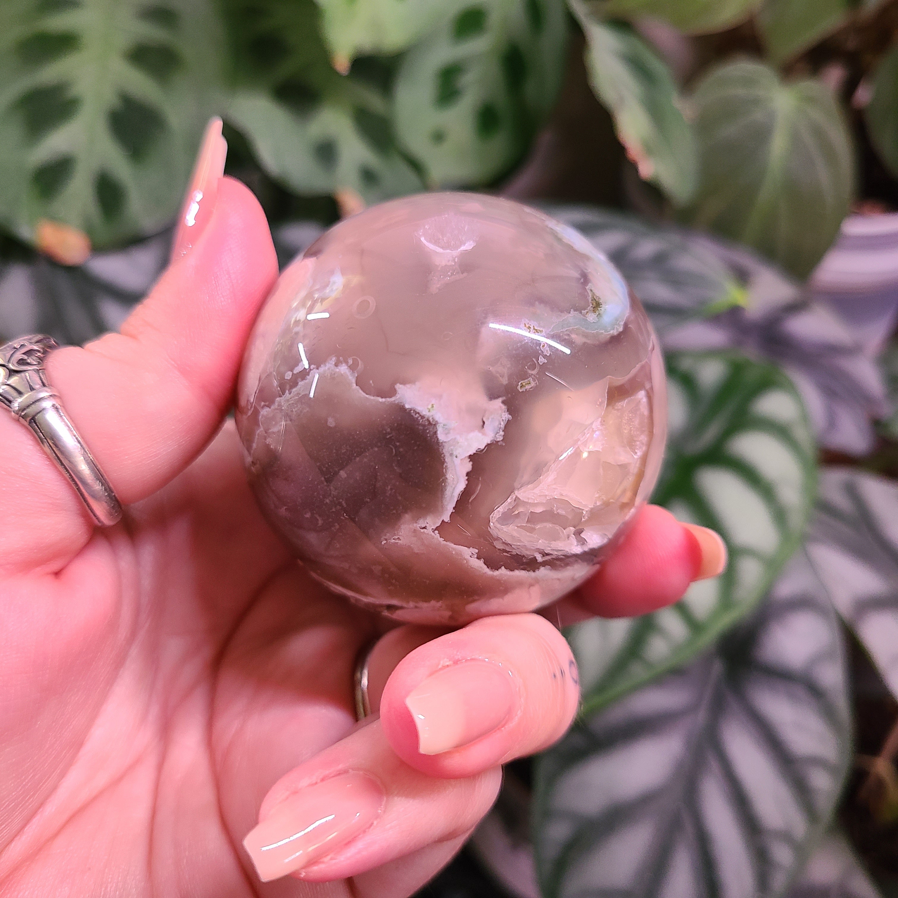 Dark Flower Agate Spheres - Large