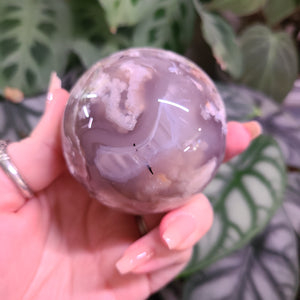 Dark Flower Agate Spheres - Large