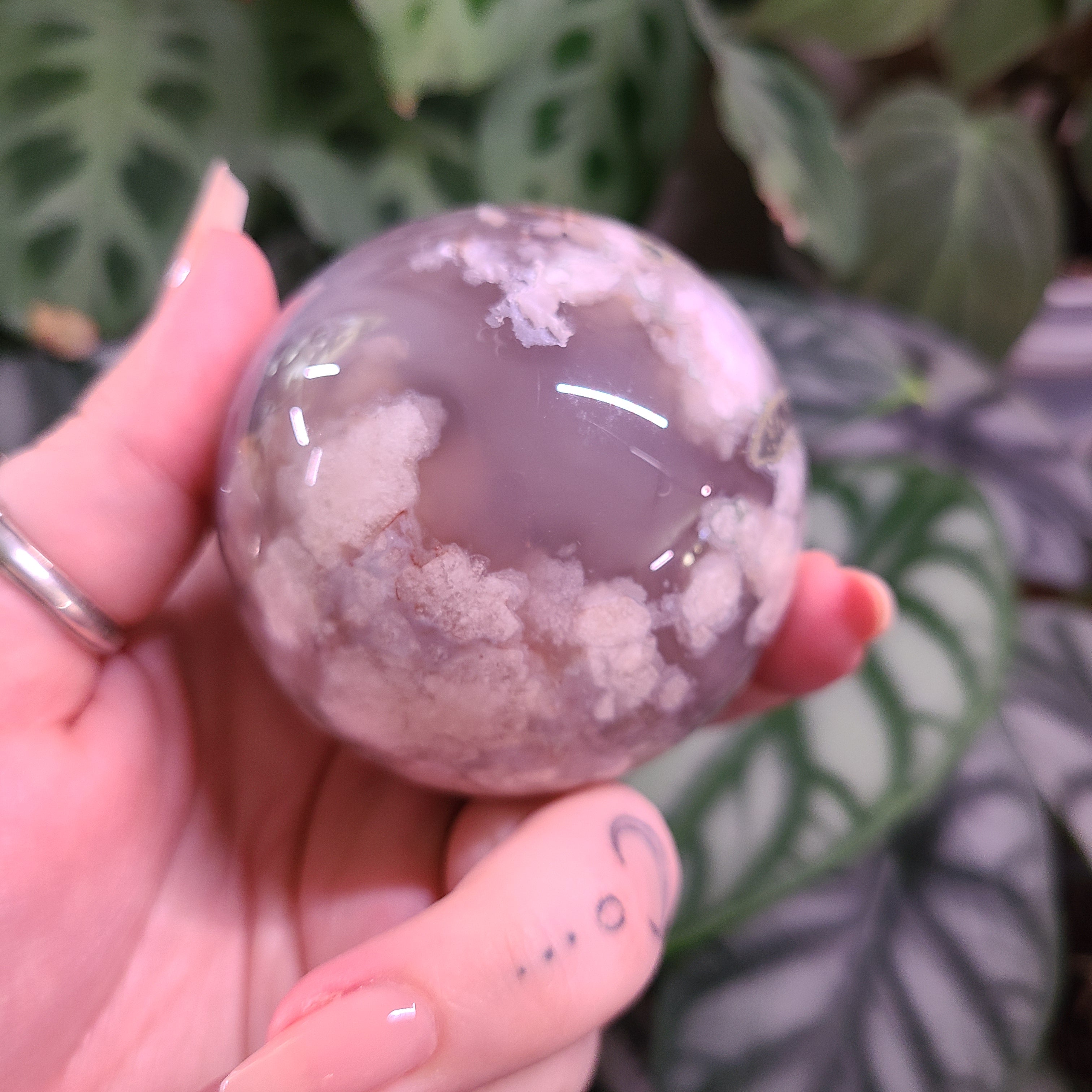 Dark Flower Agate Spheres - Large