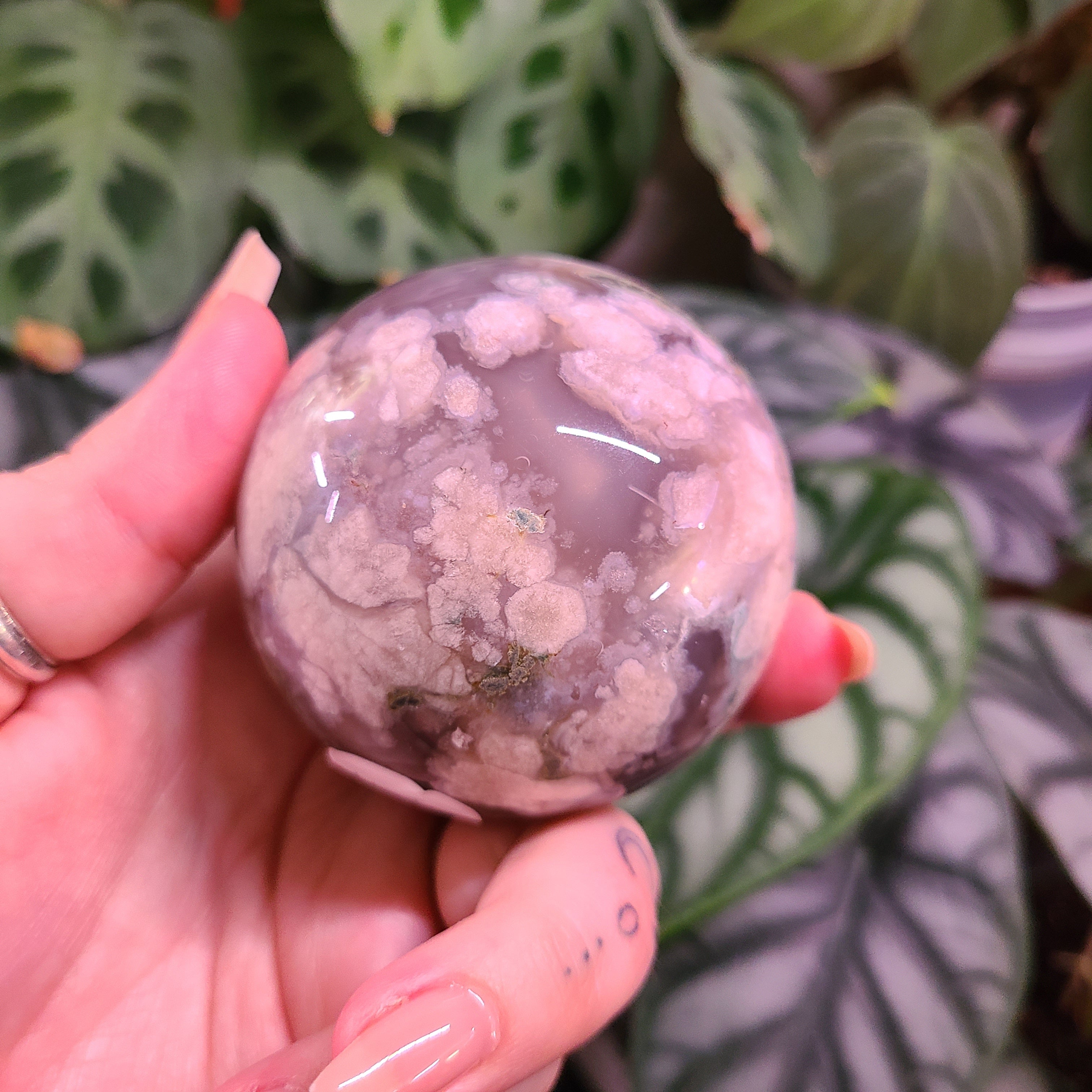 Dark Flower Agate Spheres - Large