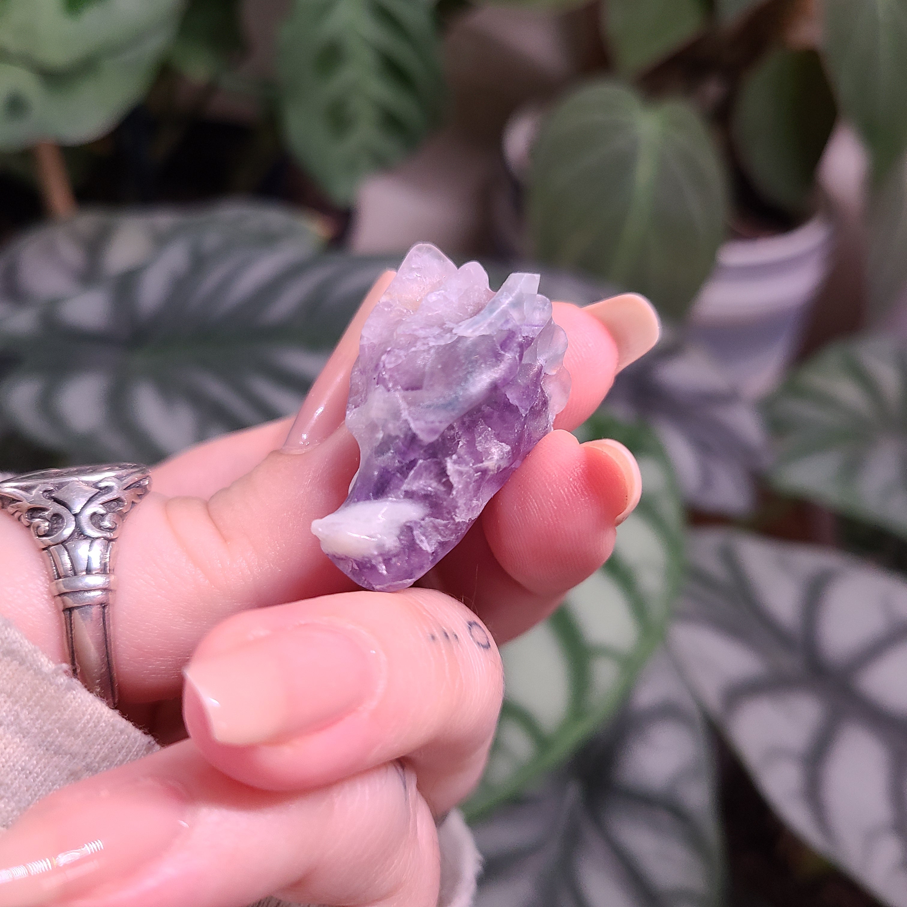 Fluorite Dragon Skull Carving