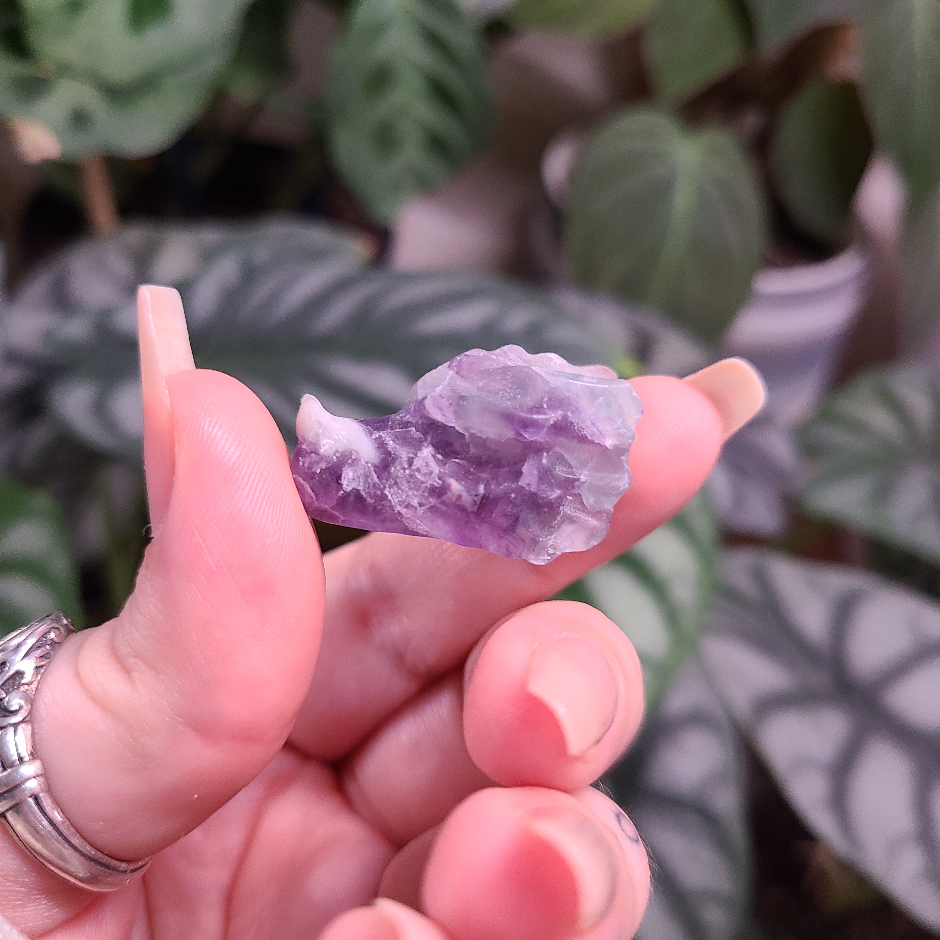 Fluorite Dragon Skull Carving