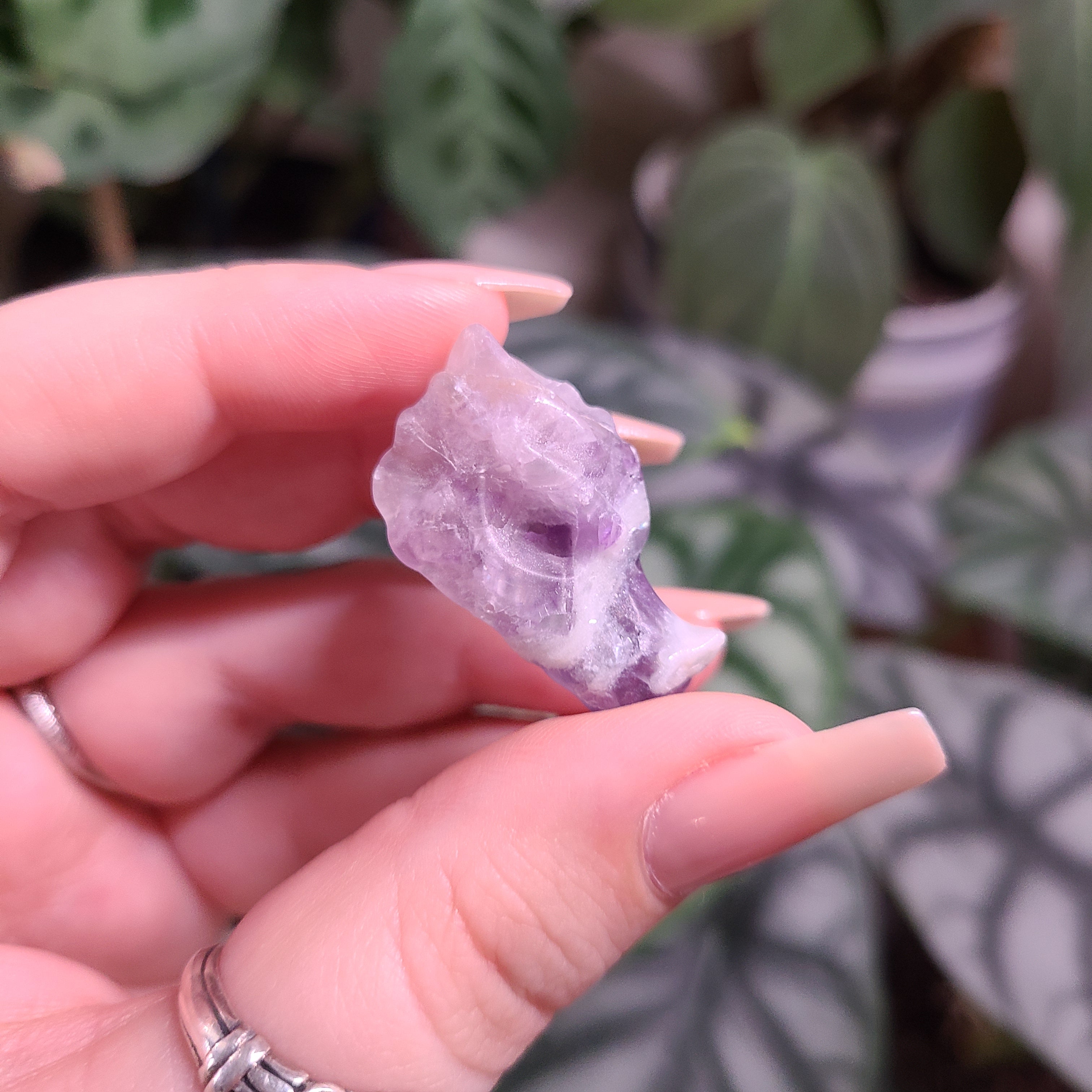 Fluorite Dragon Skull Carving