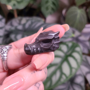 Silver Sheen Obsidian Dragon Skull Carvings - Intuitively Chosen