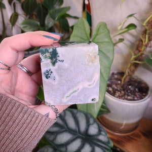 Moss Agate XL Cubes