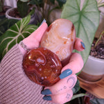 Load image into Gallery viewer, Sardonyx Palm Stones
