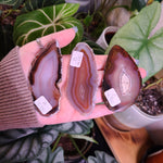 Load image into Gallery viewer, Devine Feminine Agate Slices
