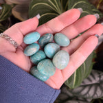 Load image into Gallery viewer, Amazonite Tumbles -  Intuitively Chosen
