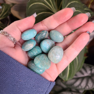 Amazonite Tumbles -  Intuitively Chosen