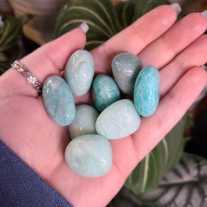 Amazonite Tumbles -  Intuitively Chosen