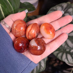 Load image into Gallery viewer, Carnelian Tumbles -  Intuitively Chosen

