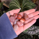 Load image into Gallery viewer, Red Botswana Agate Tumbles -  Intuitively Chosen
