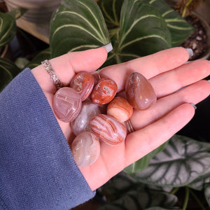 Red Botswana Agate Tumbles -  Intuitively Chosen