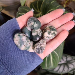 Tree Agate Tumbles -  Intuitively Chosen